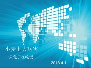 小麦七大病害PPT培训课件