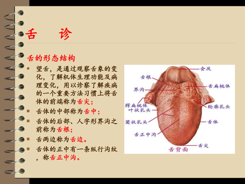 小儿推拿舌诊篇PPT培训课件_第3页