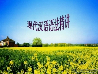 现代汉语语法PPT培训课件