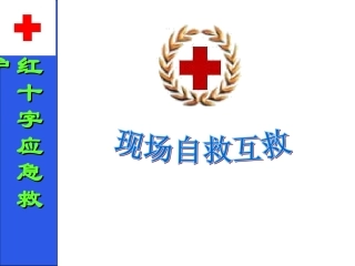 现场心肺复苏CPRPPT培训课件