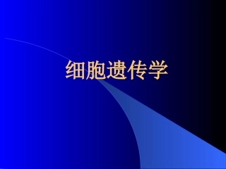 细胞遗传学简介PPT培训课件