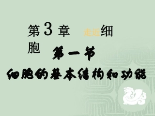 细胞结构与功能PPT培训课件