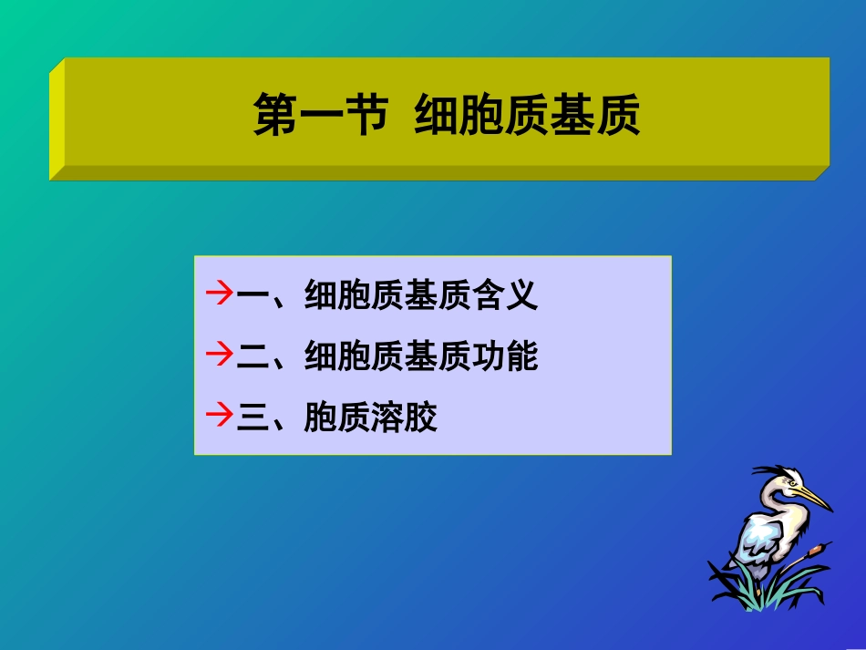 细胞分子生物学PPT培训课件_第2页
