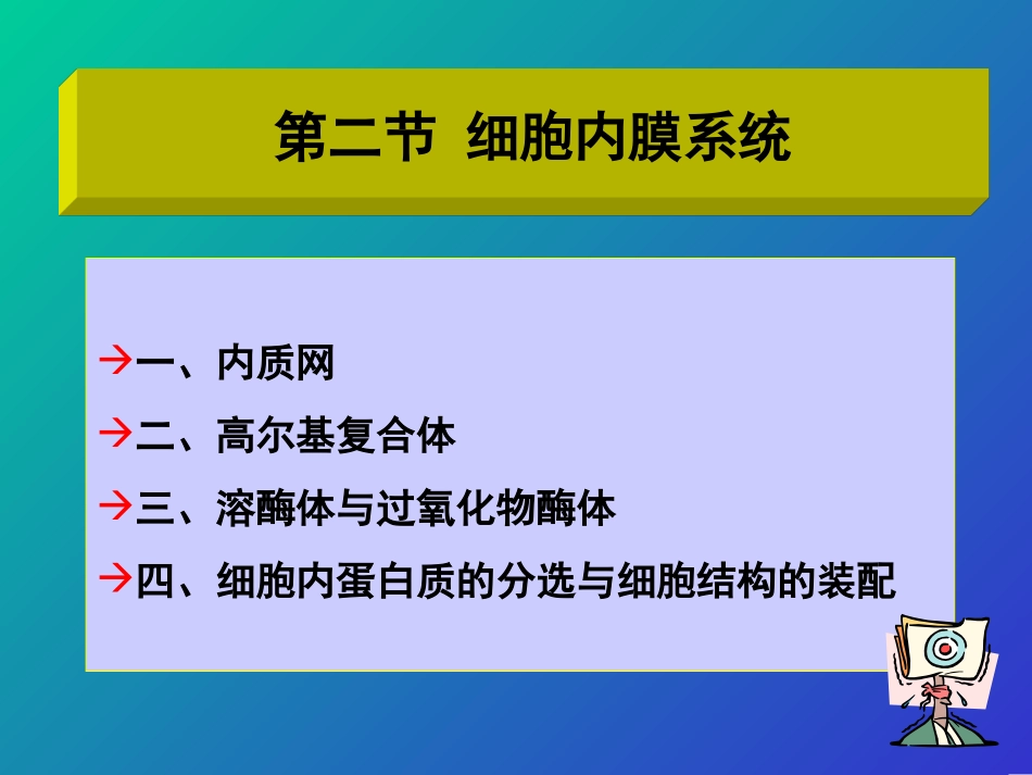 细胞分子生物学PPT培训课件_第3页