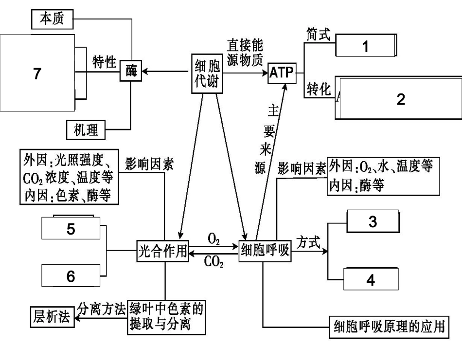 细胞代谢专题PPT培训课件_第3页