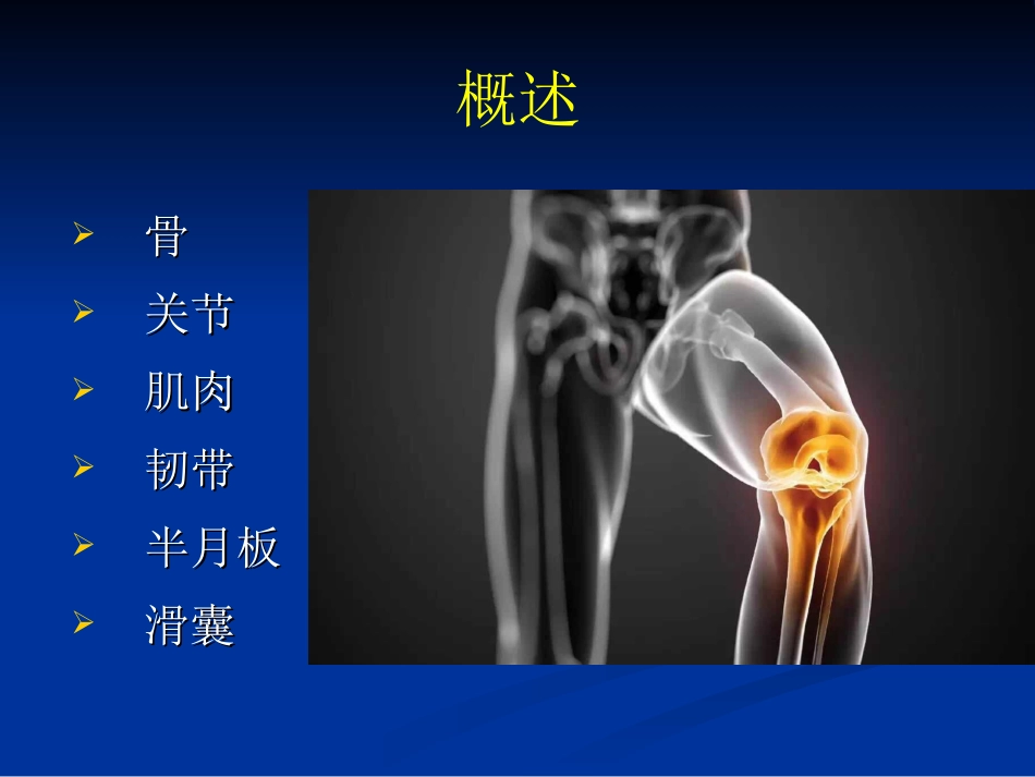 膝关节解剖基础PPT培训课件_第2页