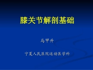 膝关节解剖基础PPT培训课件
