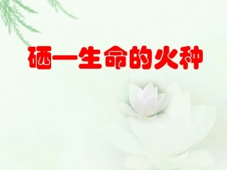 硒功能与作用PPT培训课件