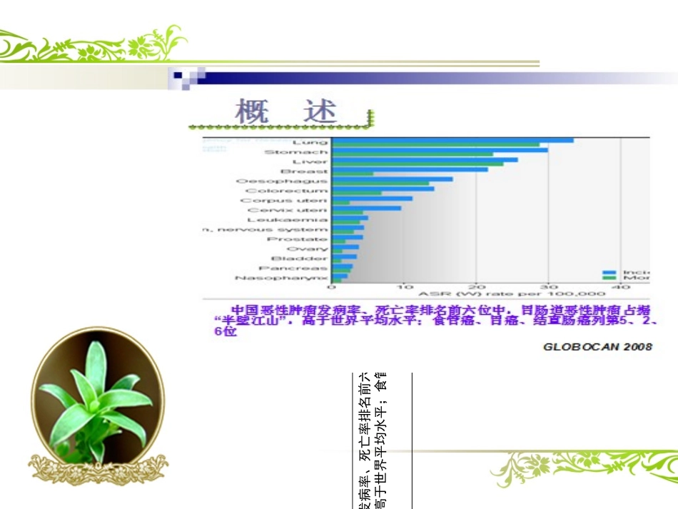 胃早癌镜下诊治PPT培训课件_第2页
