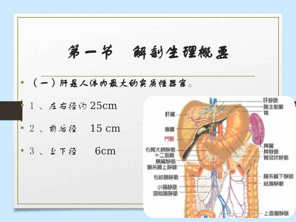外科学肝脏疾病PPT培训课件_第2页