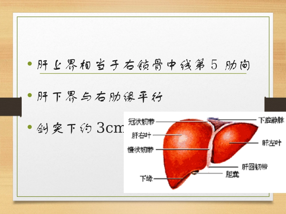 外科学肝脏疾病PPT培训课件_第3页