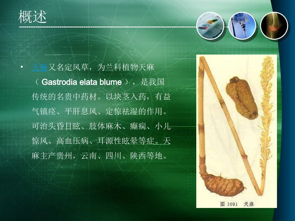 天麻栽培技术PPT培训课件_第3页