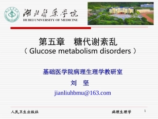 糖代谢紊乱资料PPT培训课件