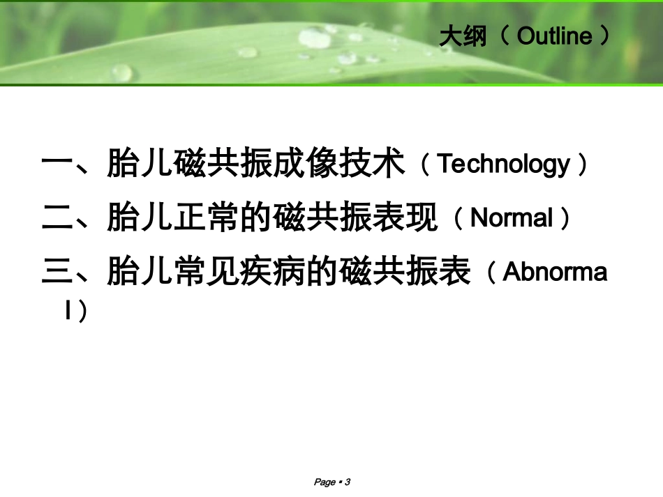 胎儿磁共振成像PPT培训课件_第3页
