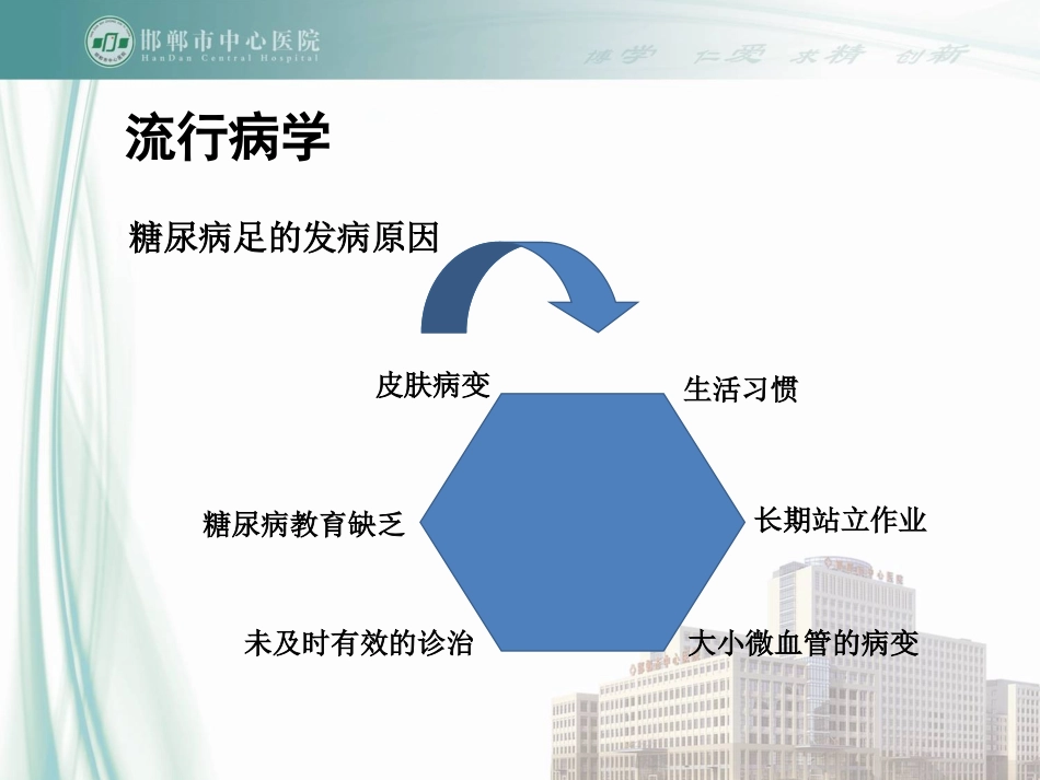 四肢多普勒操作PPT培训课件_第2页