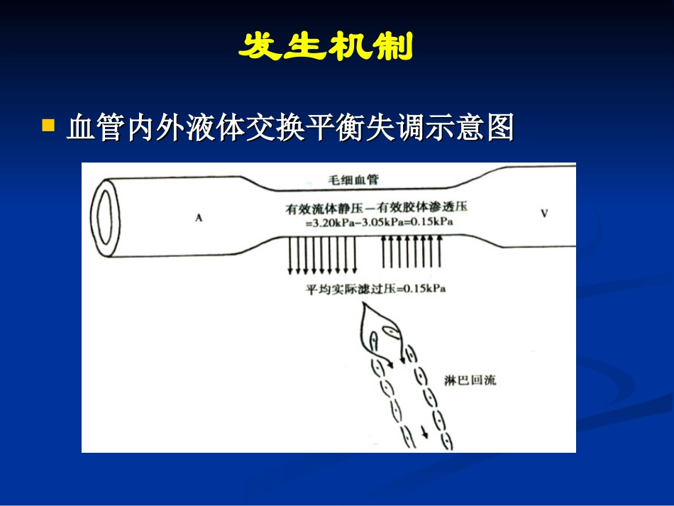 水肿的一般概念PPT培训课件_第3页