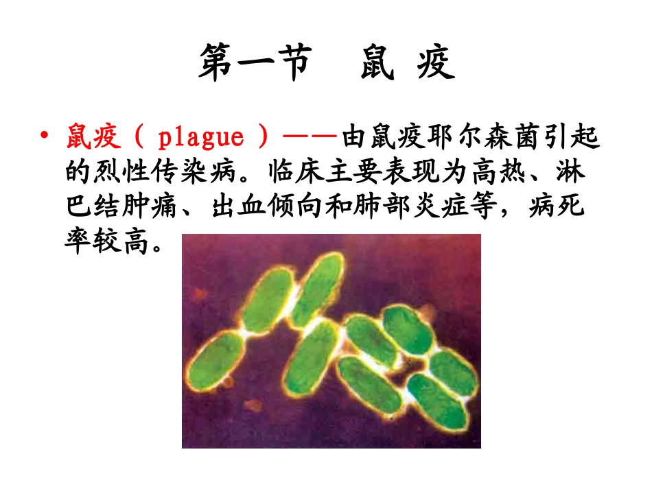 鼠疫知识讲座PPT培训课件_第1页