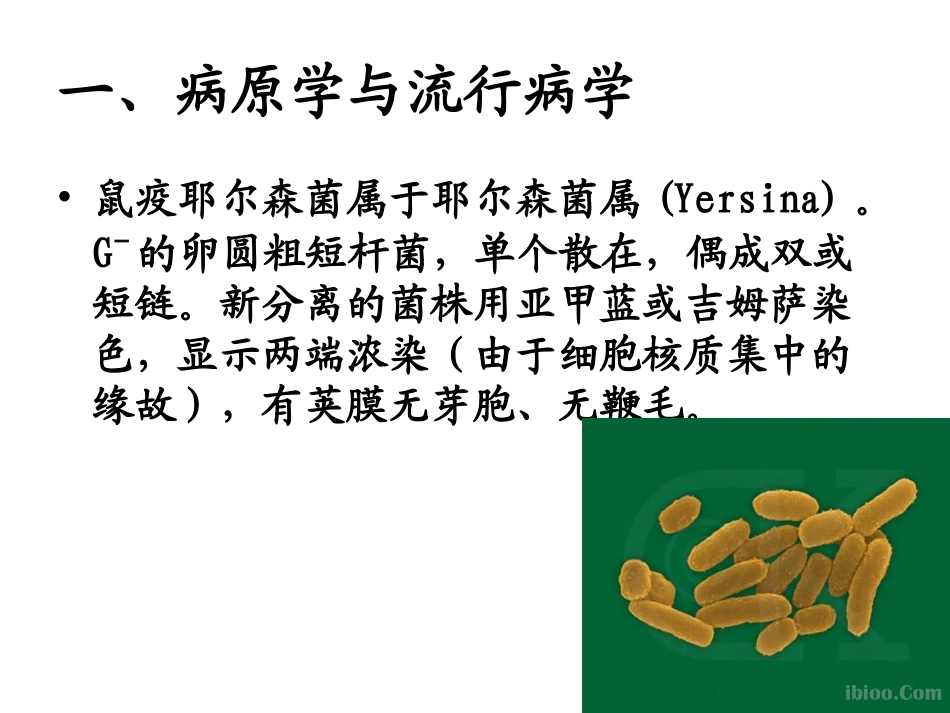 鼠疫知识讲座PPT培训课件_第2页