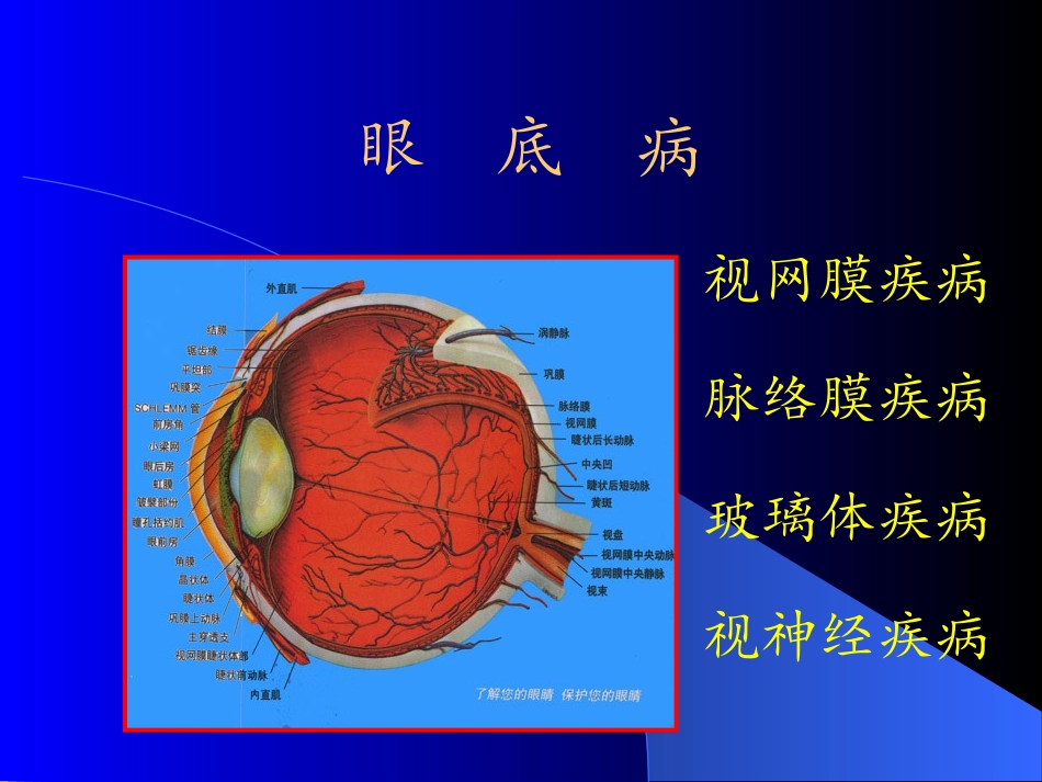 视网膜疾病医疗PPT培训课件_第2页