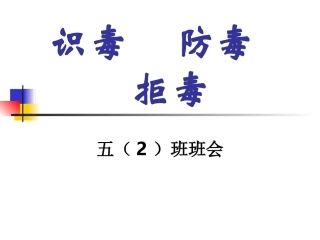 识毒防毒拒毒PPT培训课件