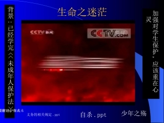 生命教育讲授PPT培训课件