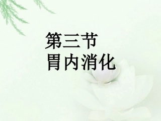 生理学胃液分泌PPT培训课件
