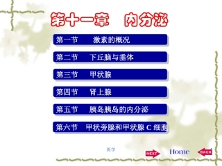 生理学内分泌PPT培训课件