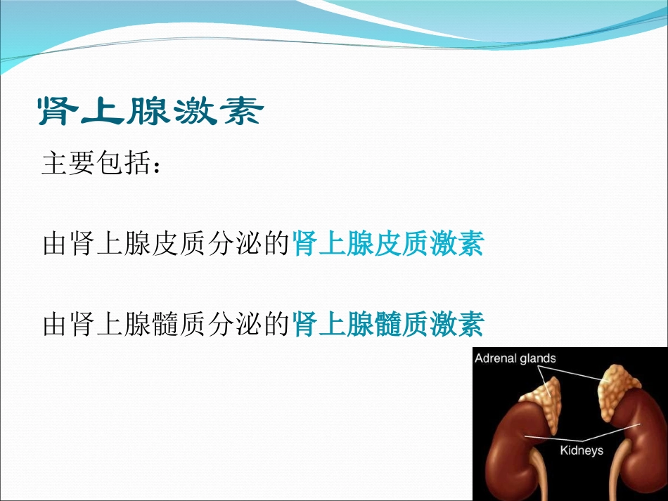 肾上腺功能检查PPT培训课件_第2页