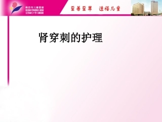 肾穿刺的护理PPT培训课件