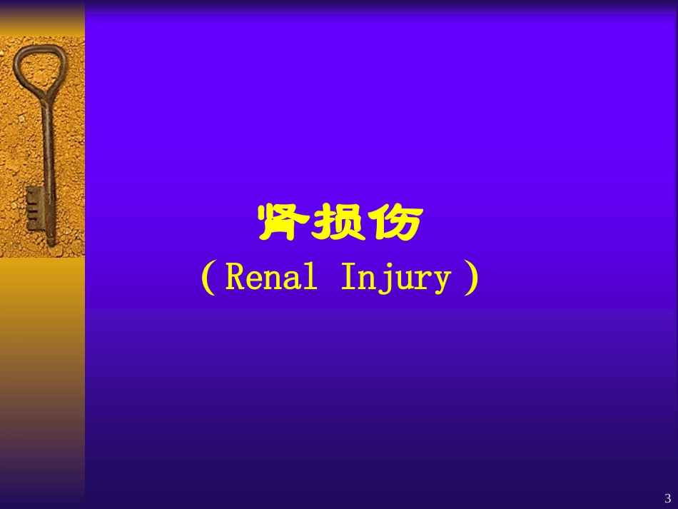 肾膀胱损伤护理PPT培训课件_第2页