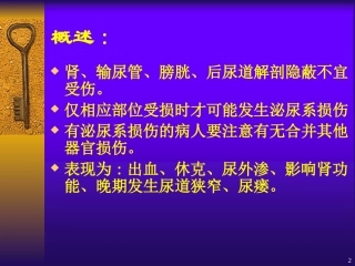 肾膀胱损伤护理PPT培训课件