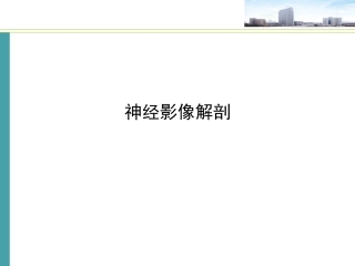 神经影像解剖PPT培训课件
