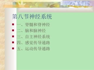 神经系统解剖学PPT培训课件