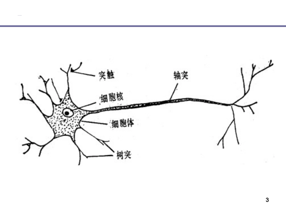 神经网络方法PPT培训课件_第3页