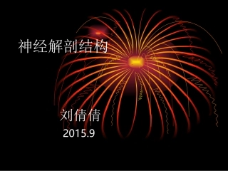 神经解剖结构PPT培训课件