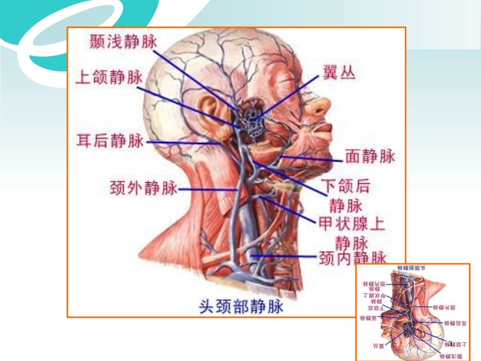深静脉穿刺课堂PPT培训课件_第3页