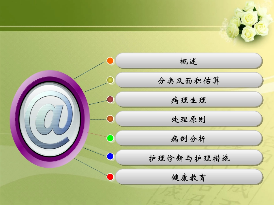 烧伤护理查房PPT培训课件_第3页