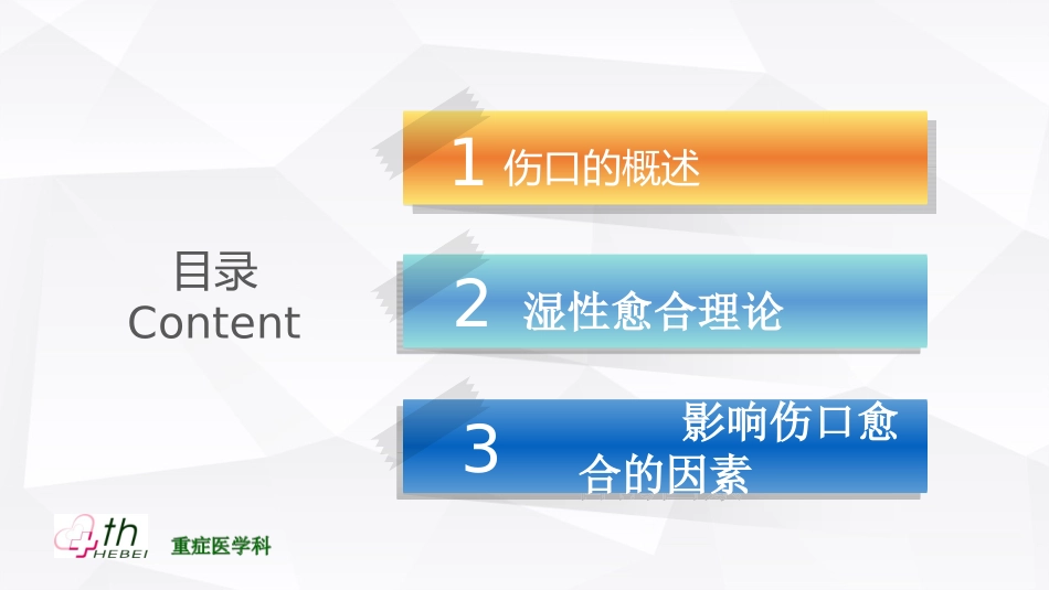 伤口愈合理论PPT培训课件_第2页