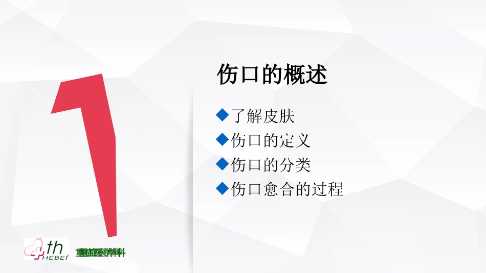 伤口愈合理论PPT培训课件_第3页