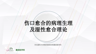 伤口愈合理论PPT培训课件