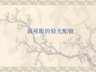 弱视的验光配镜PPT培训课件