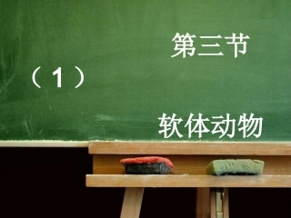 软体动物解剖PPT培训课件