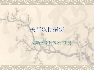 软骨损伤讲课PPT培训课件