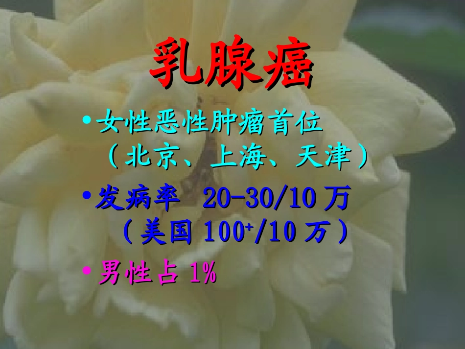 乳腺病理精讲PPT培训课件_第2页