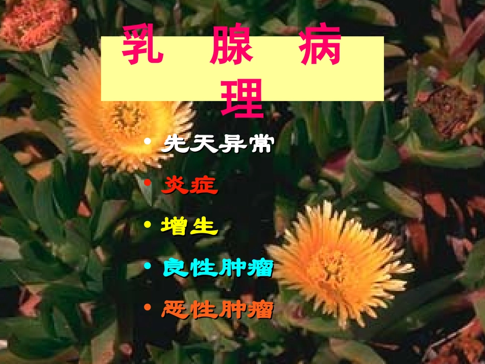 乳腺病理精讲PPT培训课件_第3页