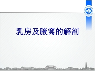 乳房及腋窝解剖PPT培训课件