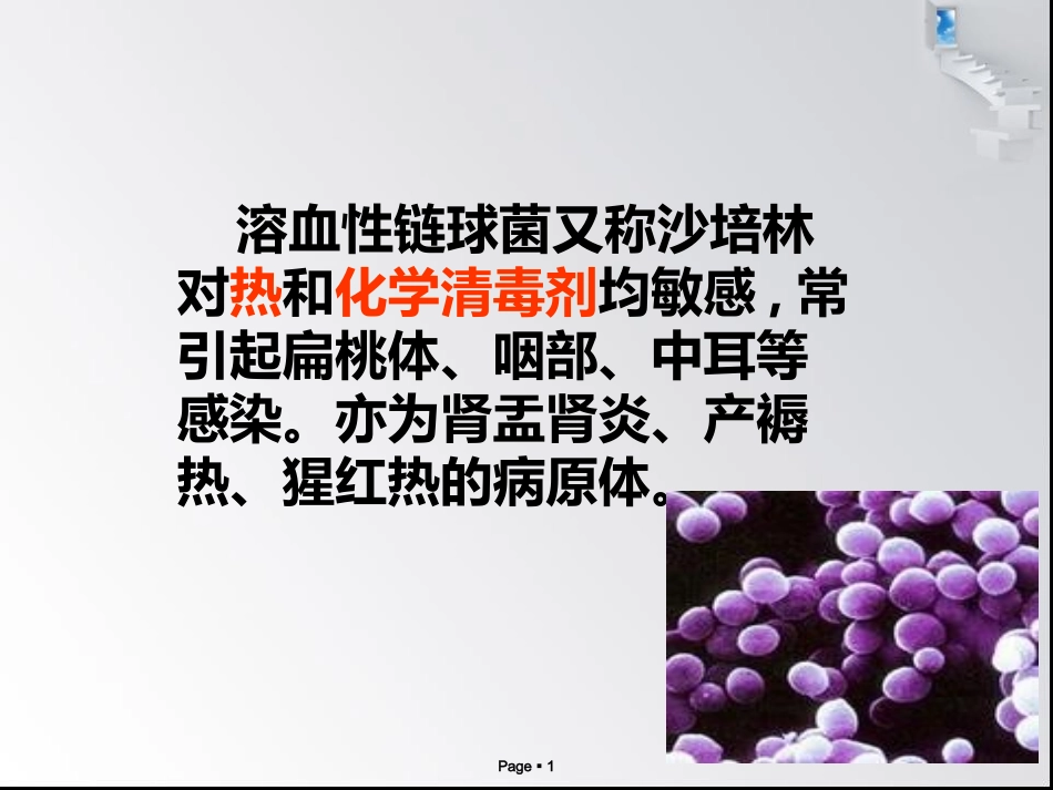 溶血性链球菌PPT培训课件_第1页