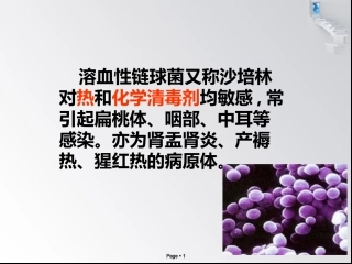 溶血性链球菌PPT培训课件