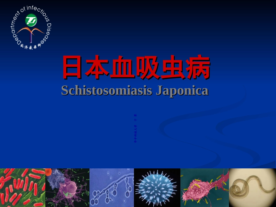 日本血吸虫病PPT培训课件_第2页