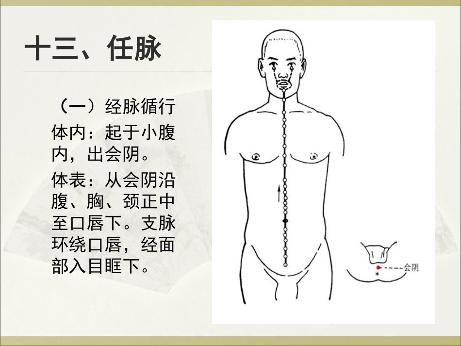 任脉督脉教程PPT培训课件_第1页